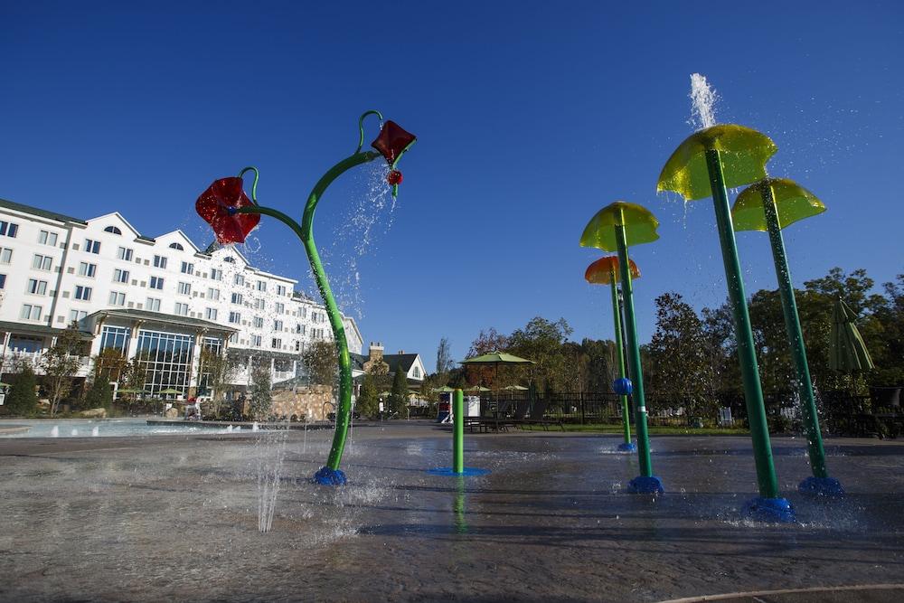Dollywood'S Dreammore Resort And Spa Pigeon Forge Ngoại thất bức ảnh